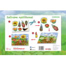 Betexa Začínáme vystřihovat - Zahrada