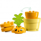LEGO® DUPLO® 10981 Pěstování mrkve
